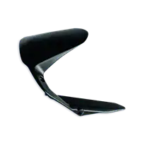 GARDE BOUE AVANT CARBONE MONSTER 797