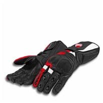 GANTS SPEED EVO C2 24