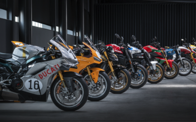 Collezione 100 : Special Editions