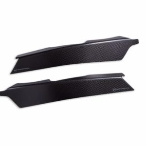 Protection cadre carbone Pani V4 2025-2026