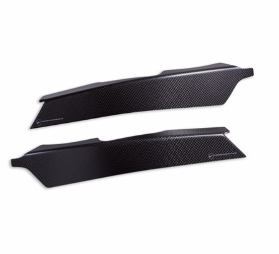 Protection cadre carbone Pani V4 2025-2026