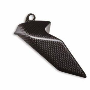 Pare-chaine carbone Pani V4 2020-2021-2022-2023-2024