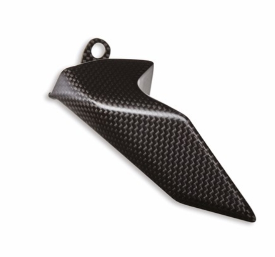 Pare-chaine carbone Pani V4 2020-2021-2022-2023-2024