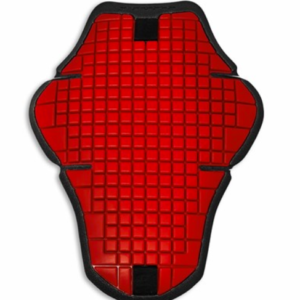Protection Warrior 2