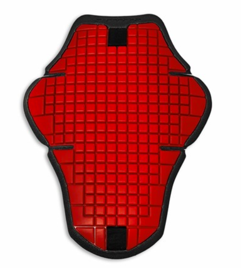 Protection Warrior 2